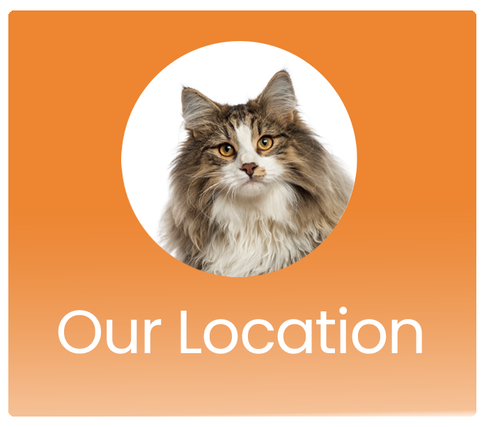 Our Location Button