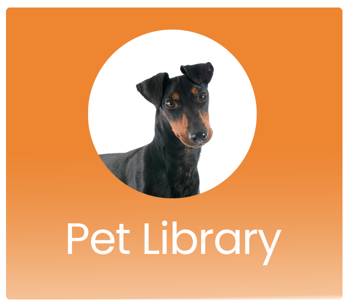 Pet Library Button