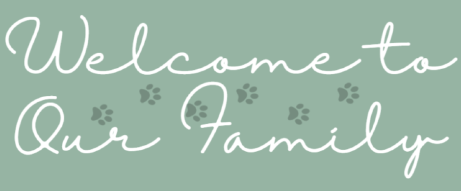 Welcome to Our Family Banner