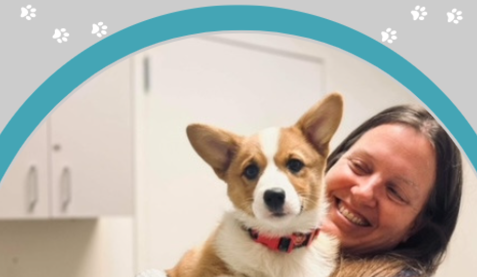 Staff Member Holding a Corgi